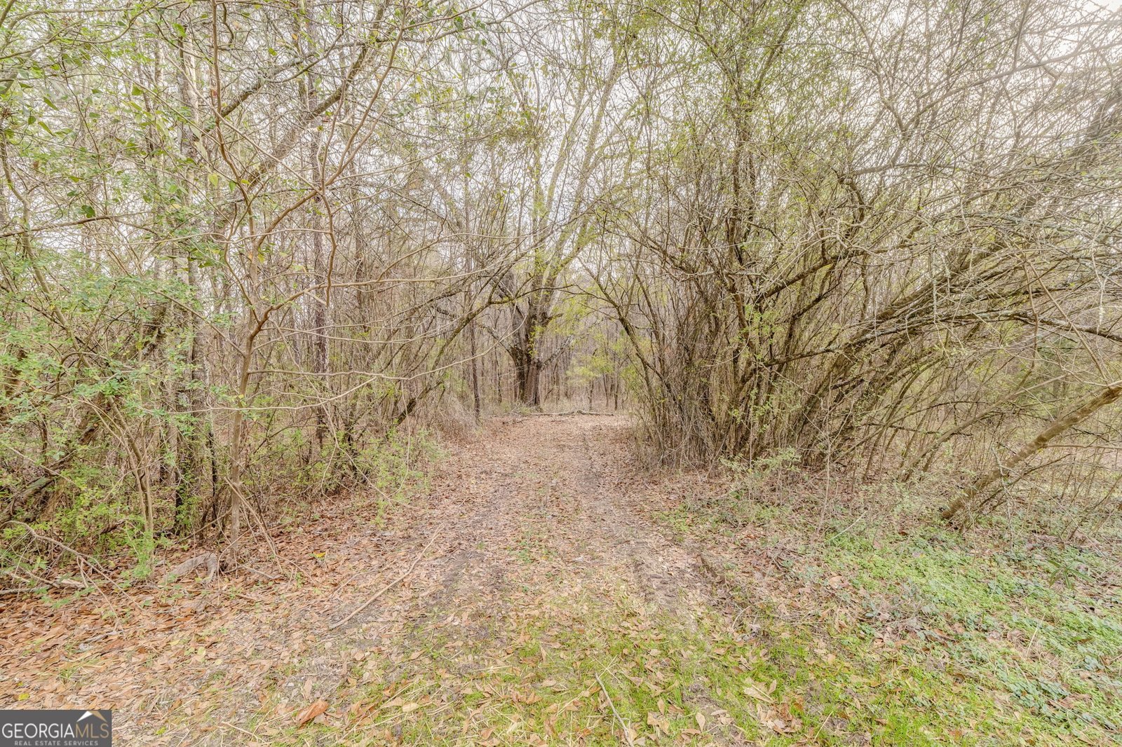 197 Colquitt Road Cedartown - Photo 53