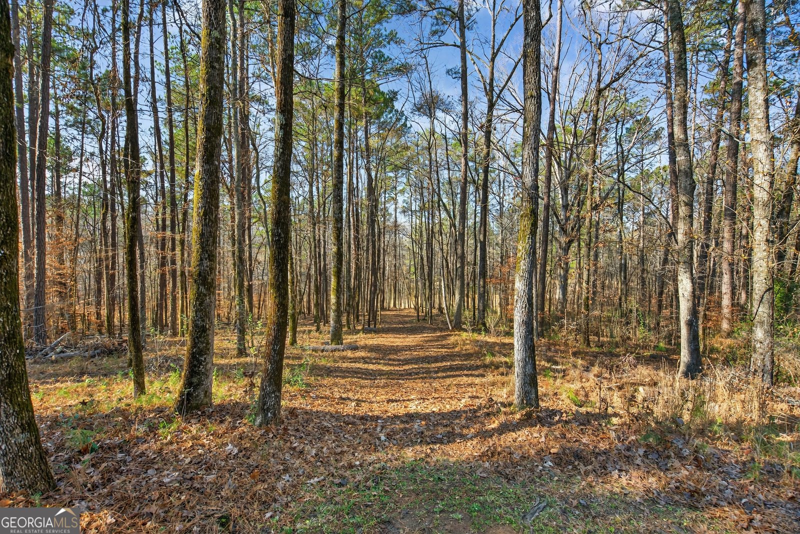 217 Highland Trail LaGrange - Photo 50