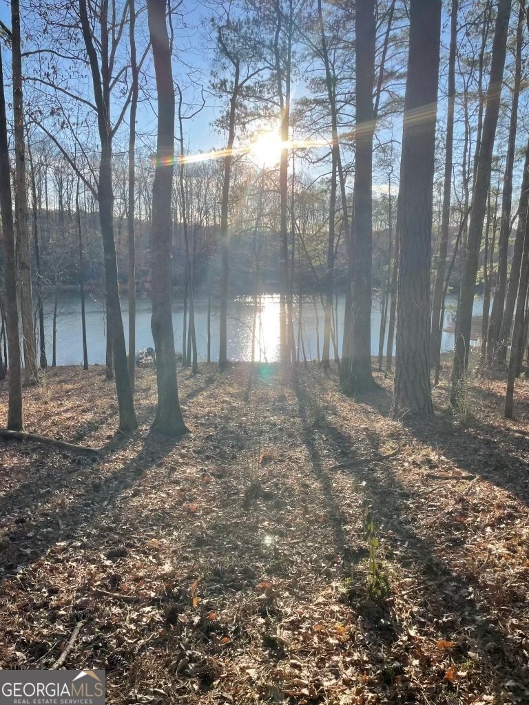 217 Highland Trail LaGrange - Photo 53