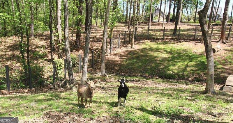 3125 Pine Mountain Circle Kennesaw - Photo 13
