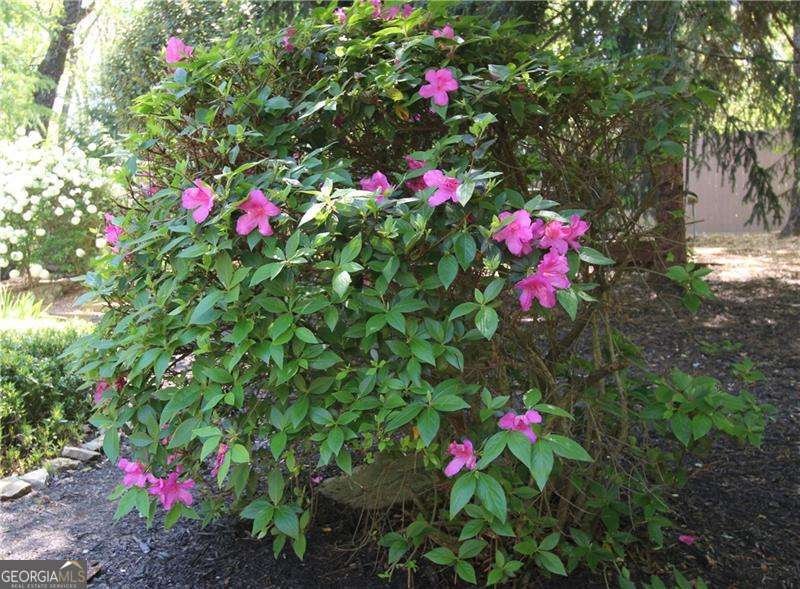 3125 Pine Mountain Circle Kennesaw - Photo 24