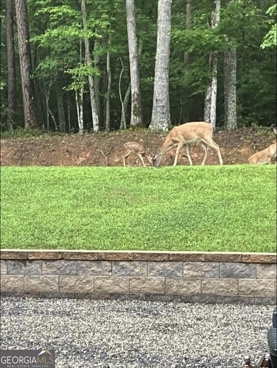 206 Hedden Road Murphy - Photo 27