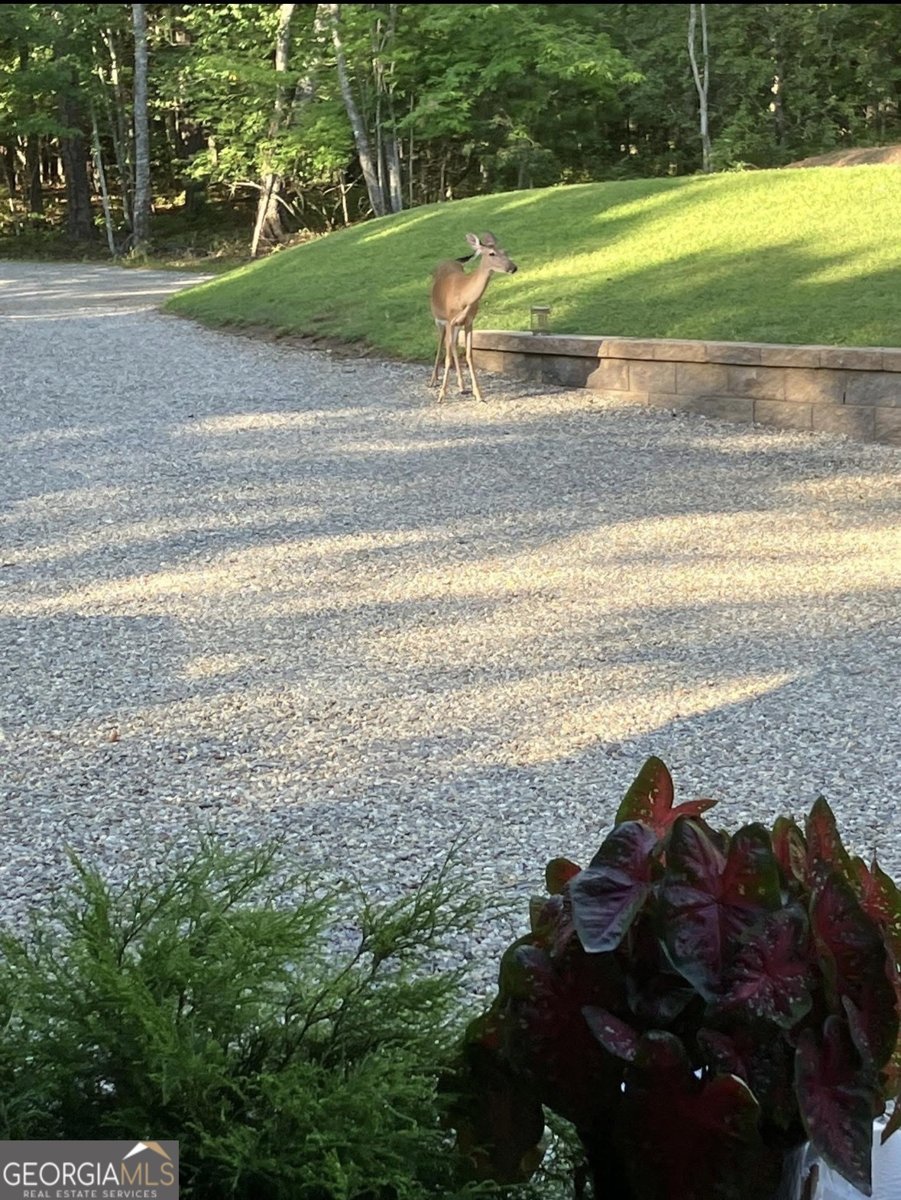 206 Hedden Road Murphy - Photo 28