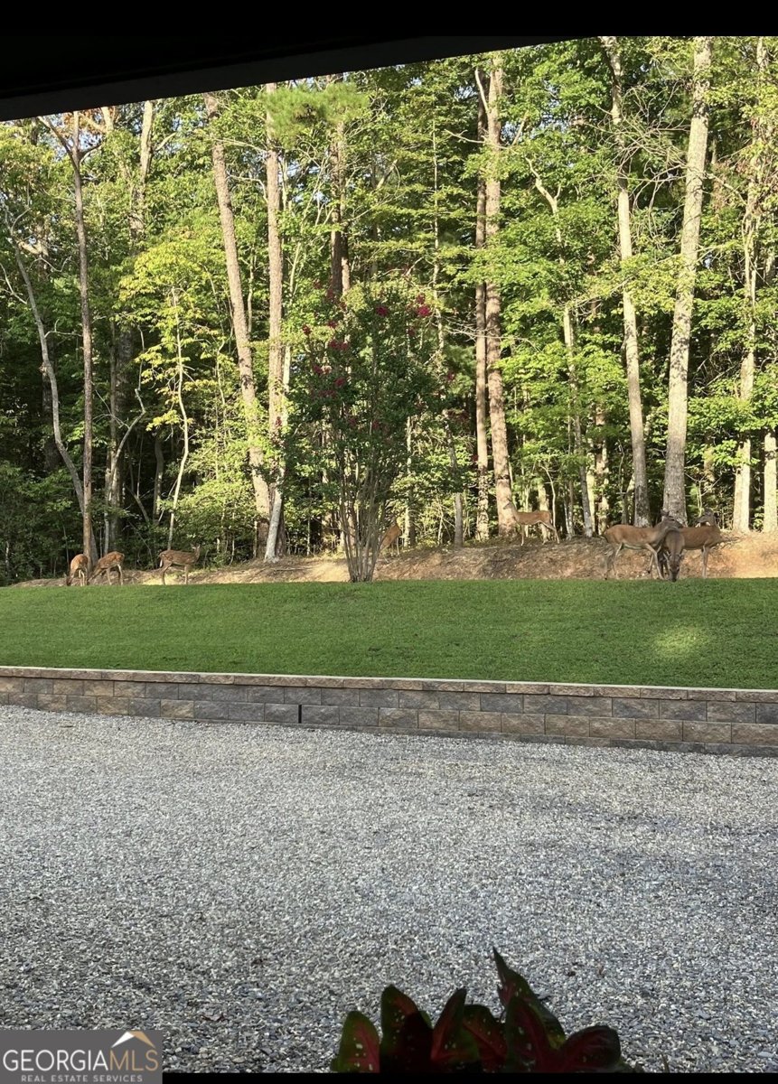 206 Hedden Road Murphy - Photo 29