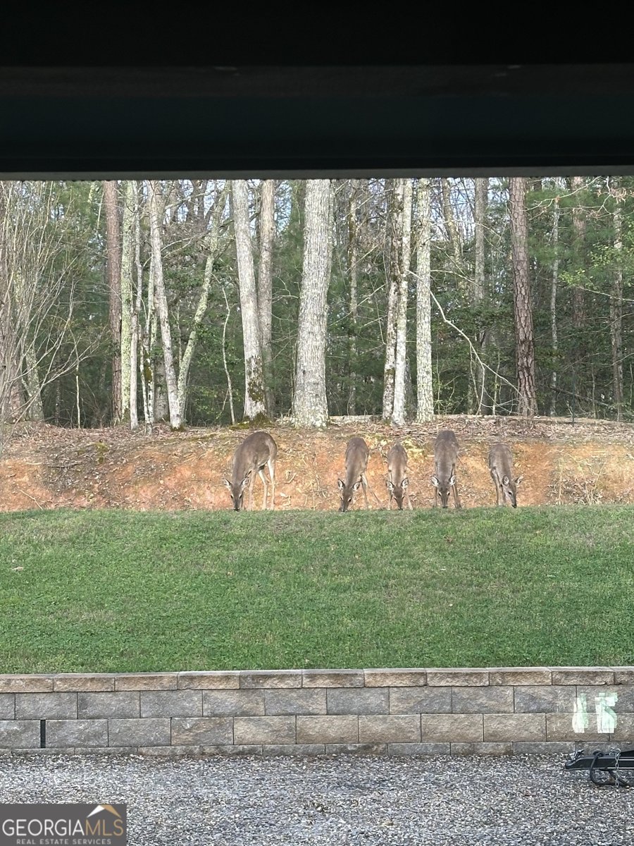206 Hedden Road Murphy - Photo 31