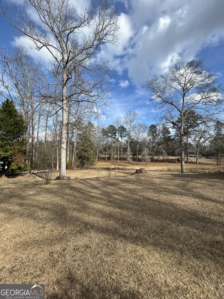 206 Ann Murphy Road West Point - Photo 44