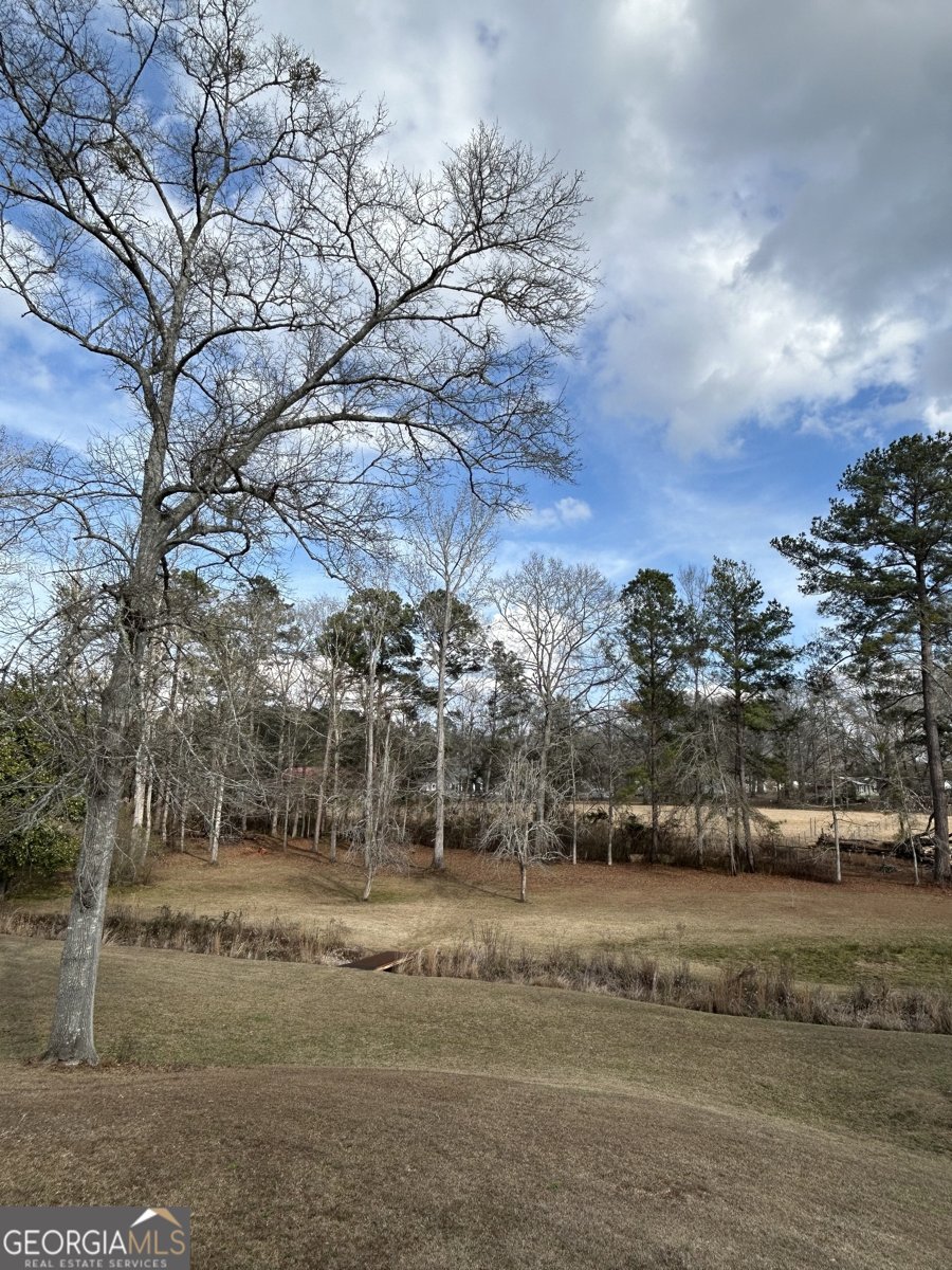 206 Ann Murphy Road West Point - Photo 48