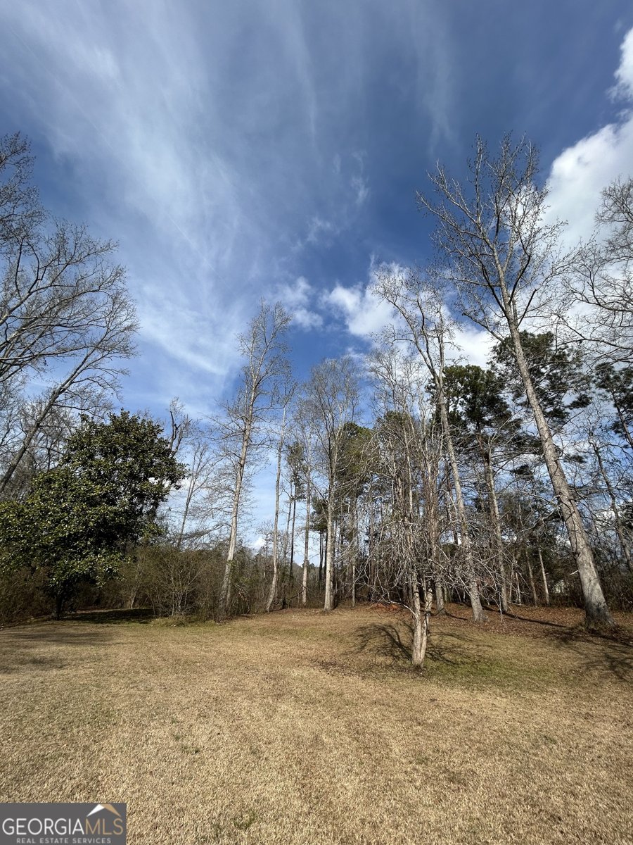 206 Ann Murphy Road West Point - Photo 53