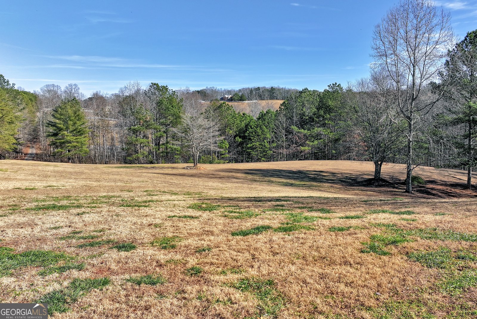 321 Chumbley Road Dawsonville - Photo 56