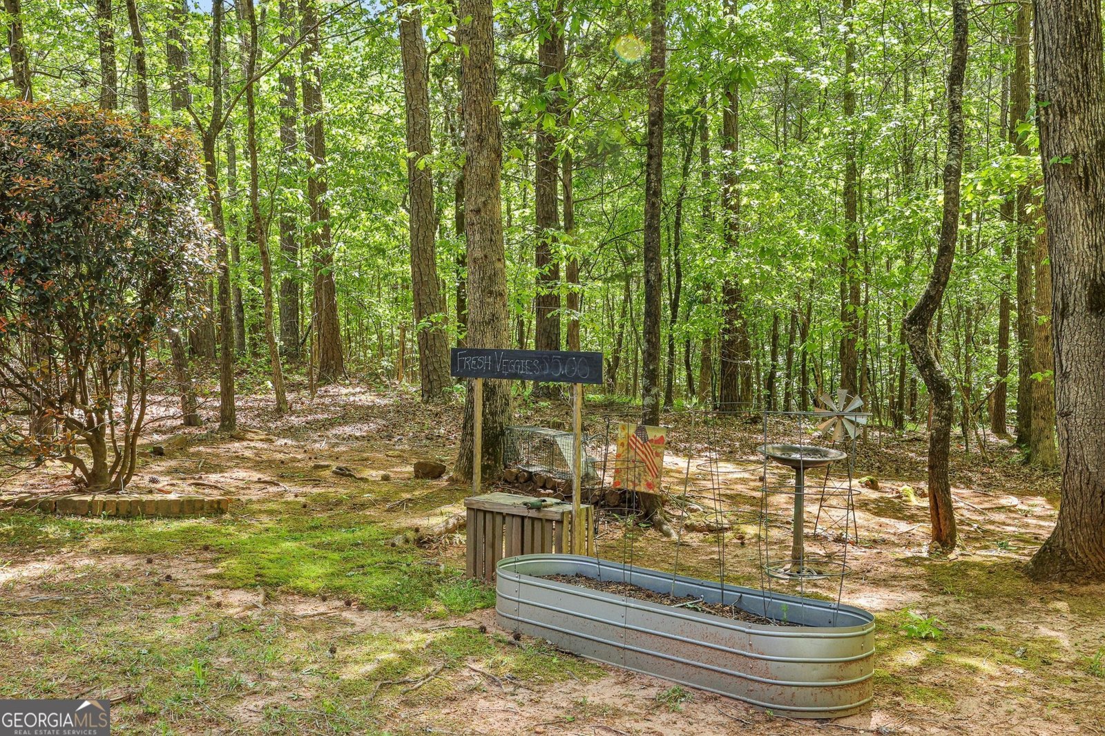 318 Dogwood Trace McDonough - Photo 46