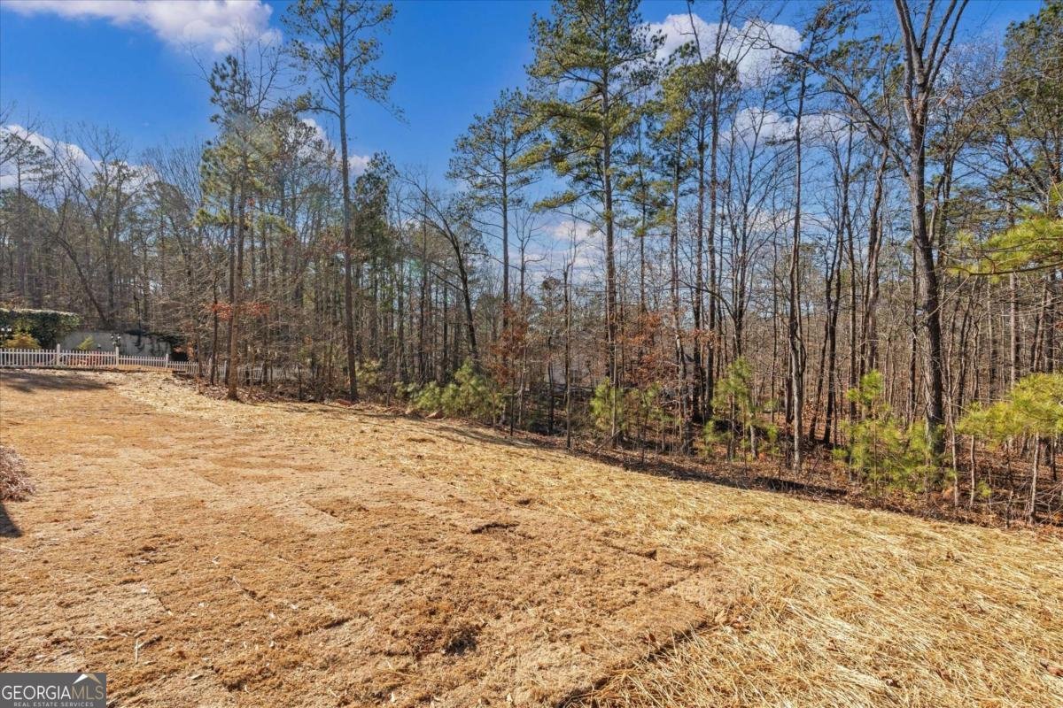 7213 Tara Drive Villa Rica - Photo 34