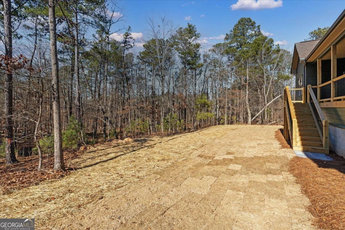 7213 Tara Drive Villa Rica - Photo 36