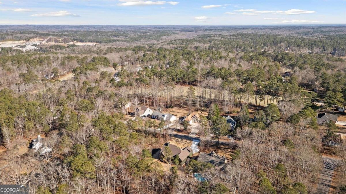 7213 Tara Drive Villa Rica - Photo 41