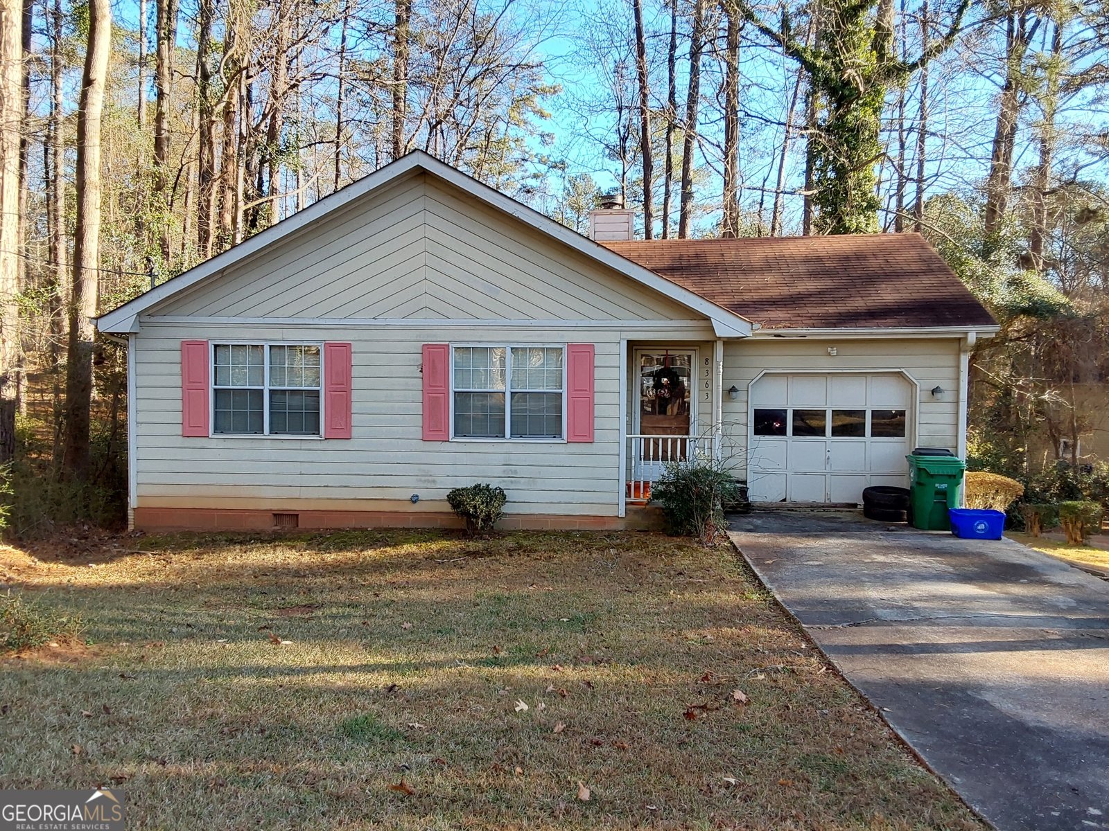 8363 Norris Lake Road Snellville - Photo 1