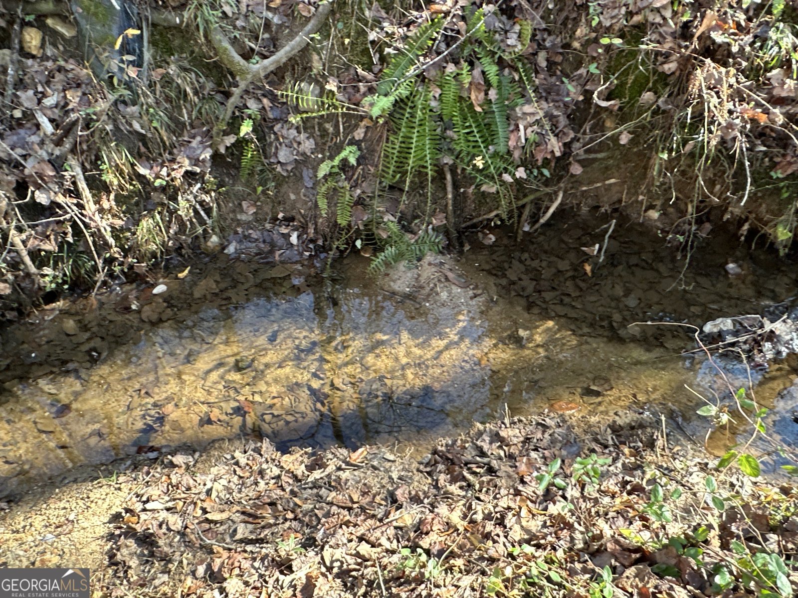 198 Sweetwater Trail Villa Rica - Photo 17