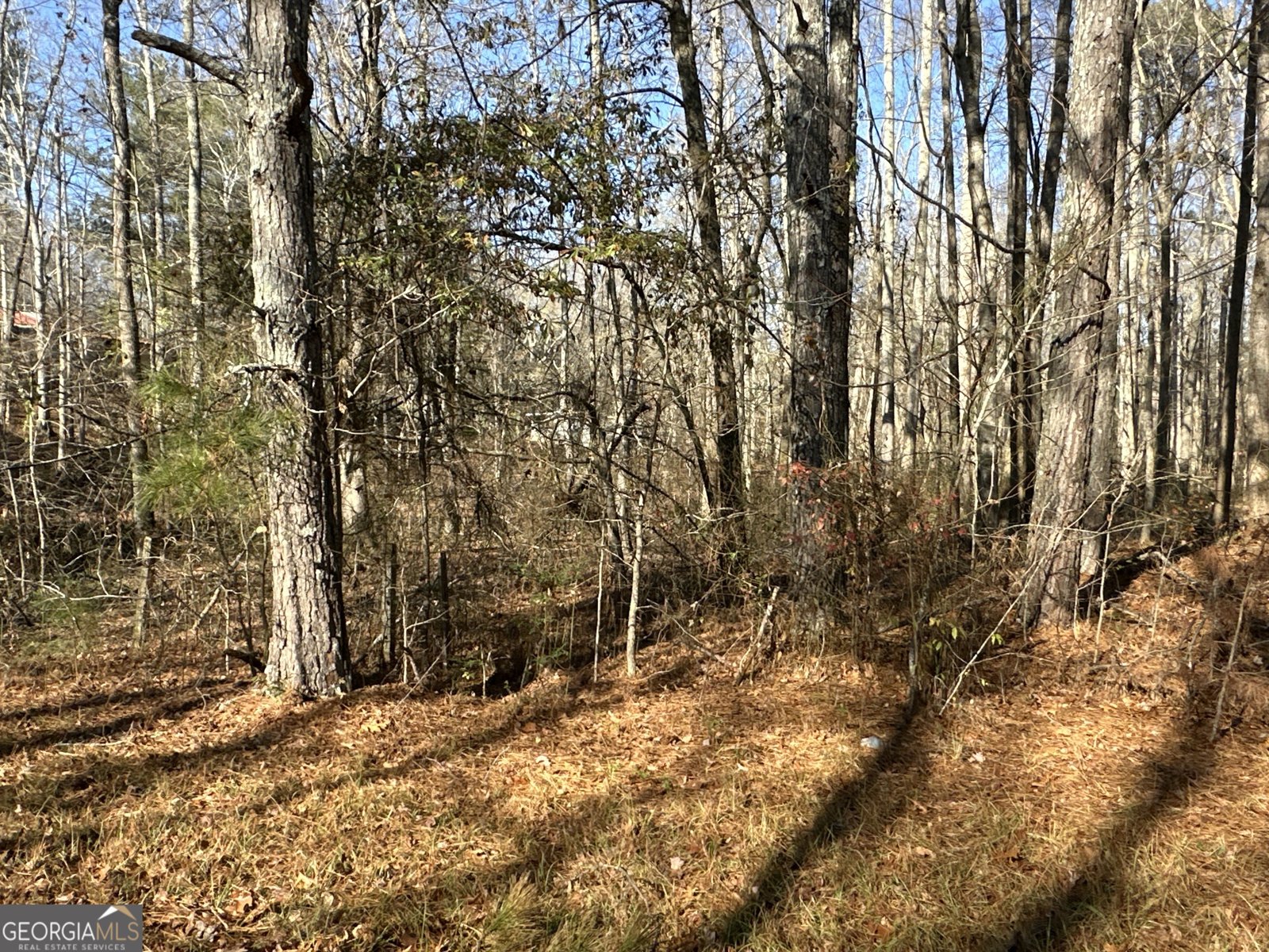 198 Sweetwater Trail Villa Rica - Photo 26