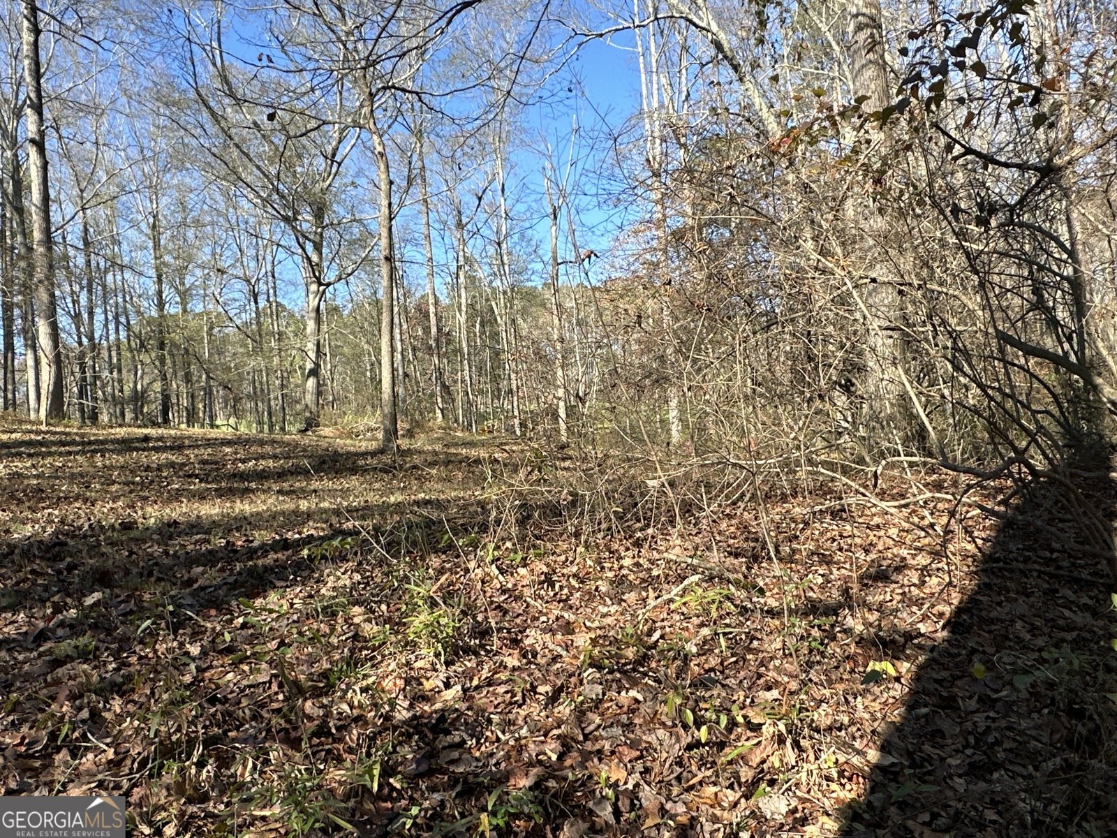 198 Sweetwater Trail Villa Rica - Photo 43