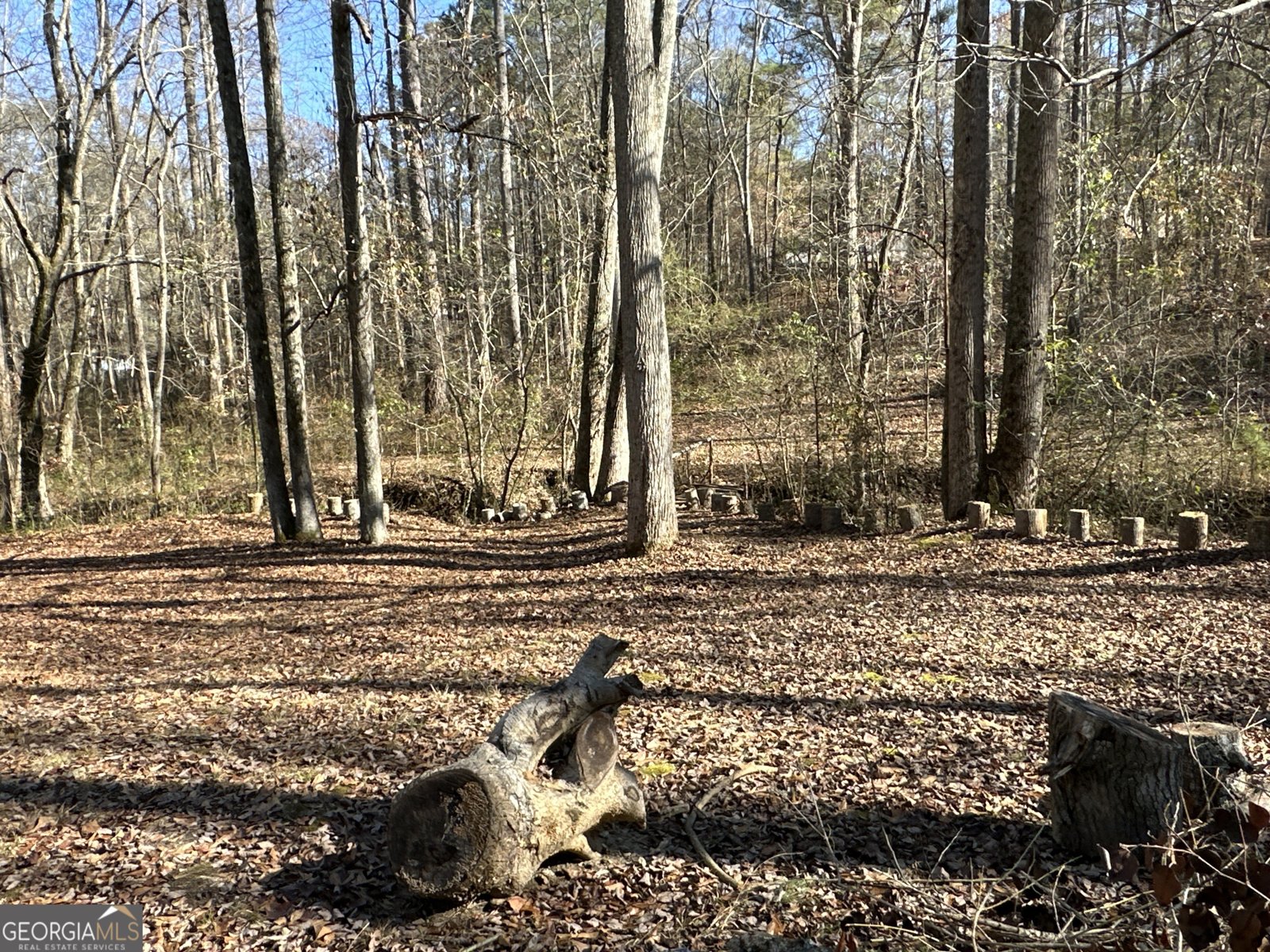 198 Sweetwater Trail Villa Rica - Photo 47