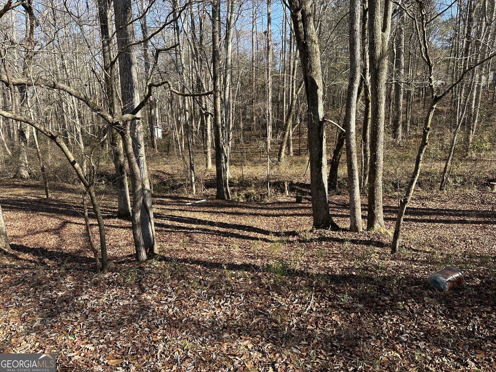 198 Sweetwater Trail Villa Rica - Photo 8