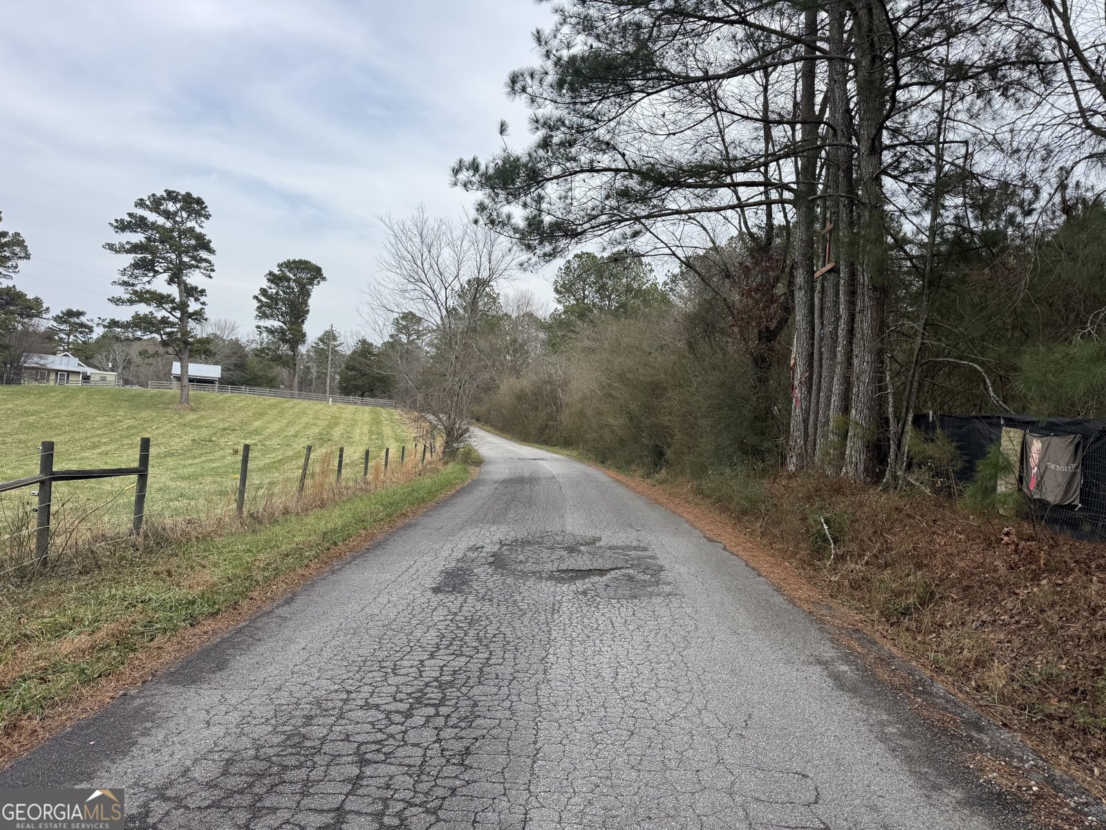 346 Clayton Chester Road Dawsonville - Photo 11