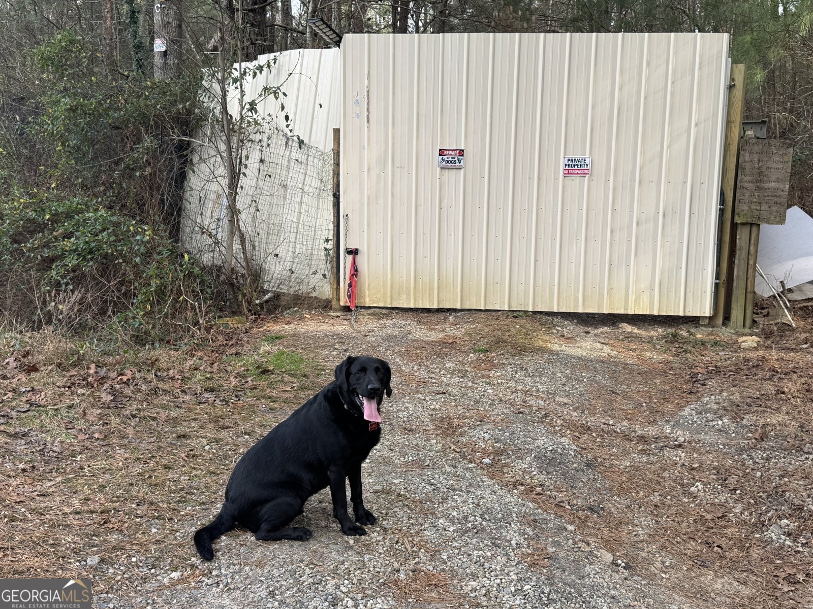 346 Clayton Chester Road Dawsonville - Photo 12