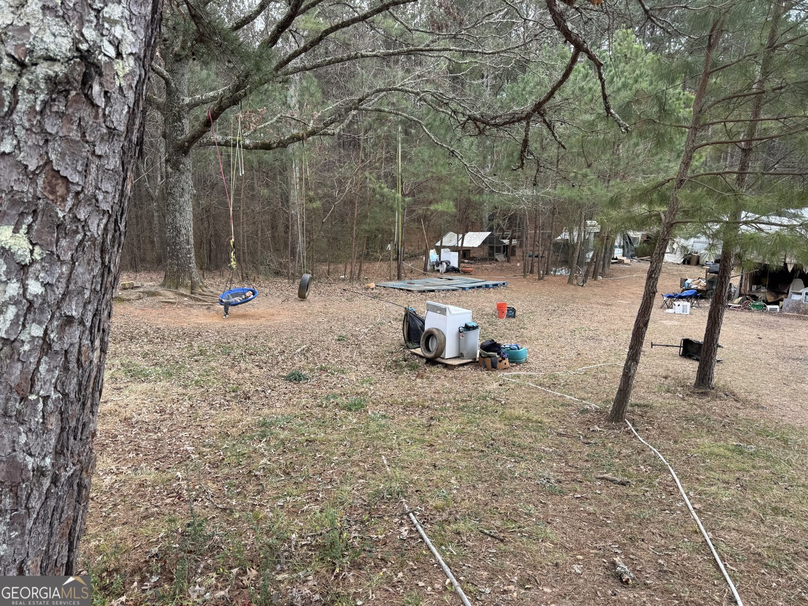 346 Clayton Chester Road Dawsonville - Photo 7