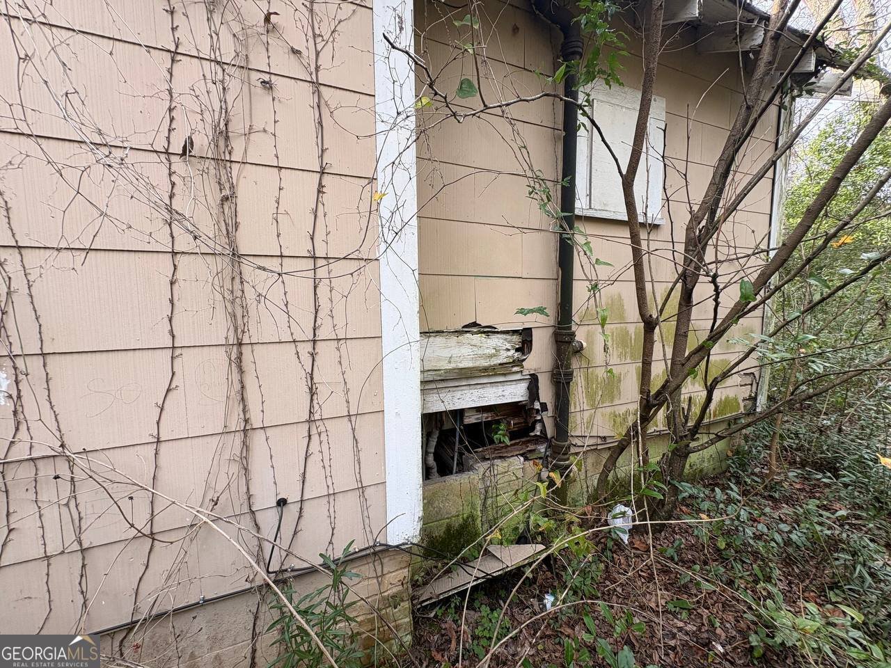 615 Cotton Avenue Albany - Photo 9