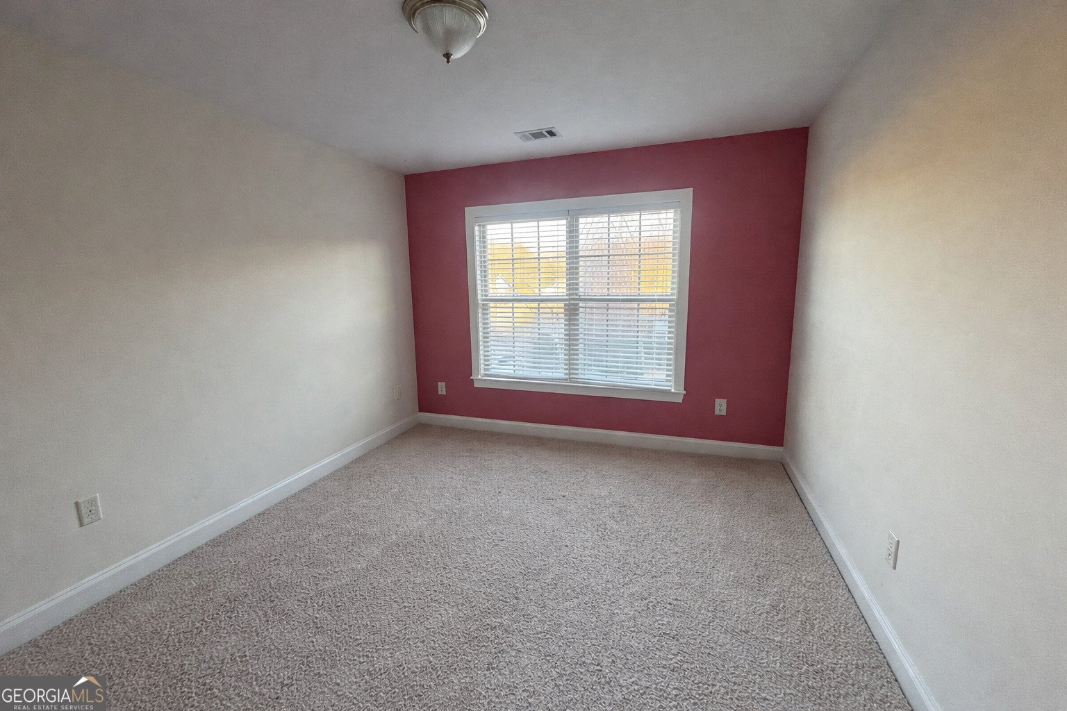3742 Terrah Point Drive Duluth - Photo 11