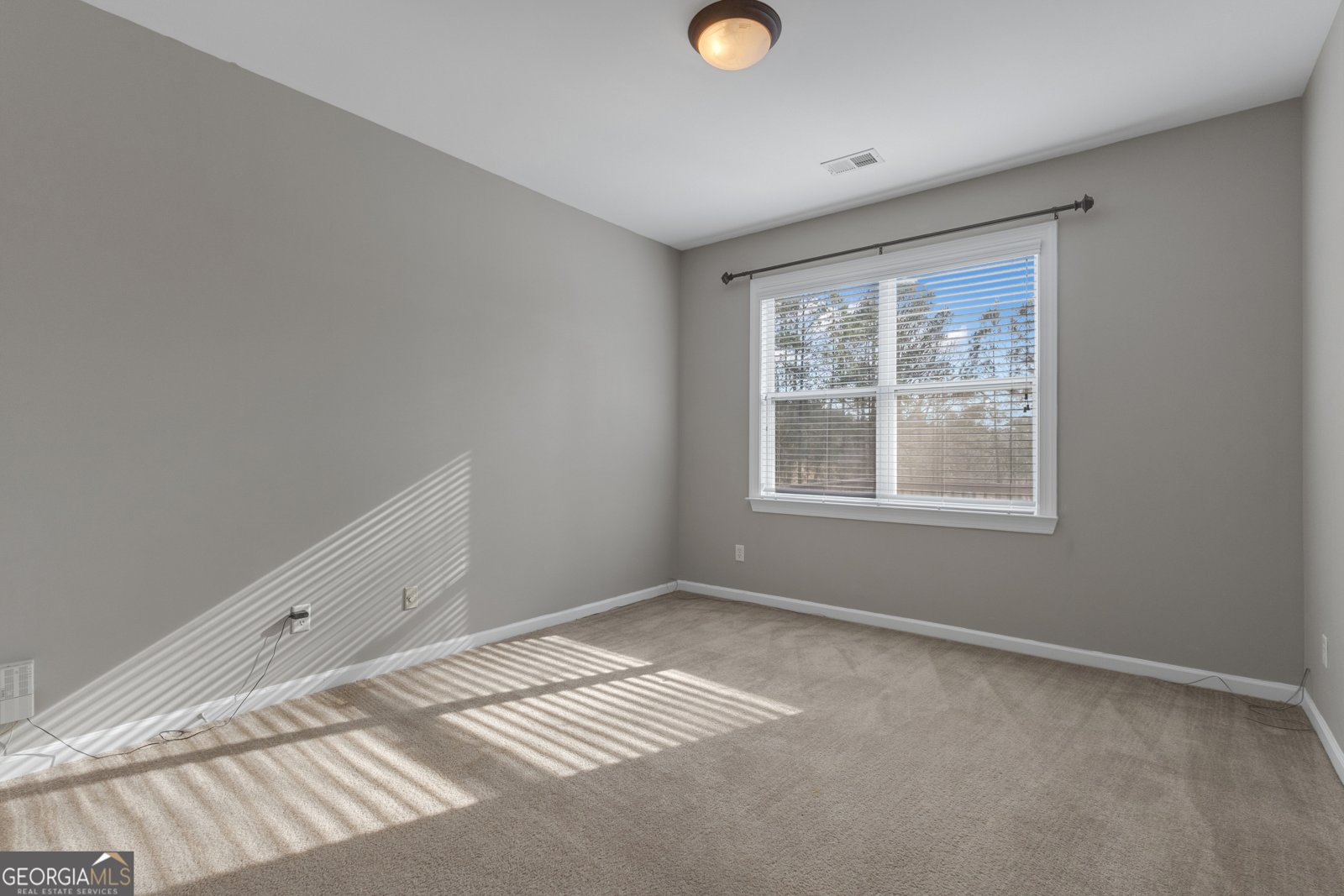 35 Paddle Boat Cove Senoia - Photo 28