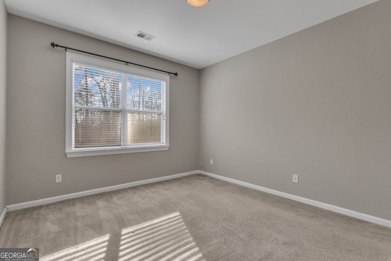 35 Paddle Boat Cove Senoia - Photo 30