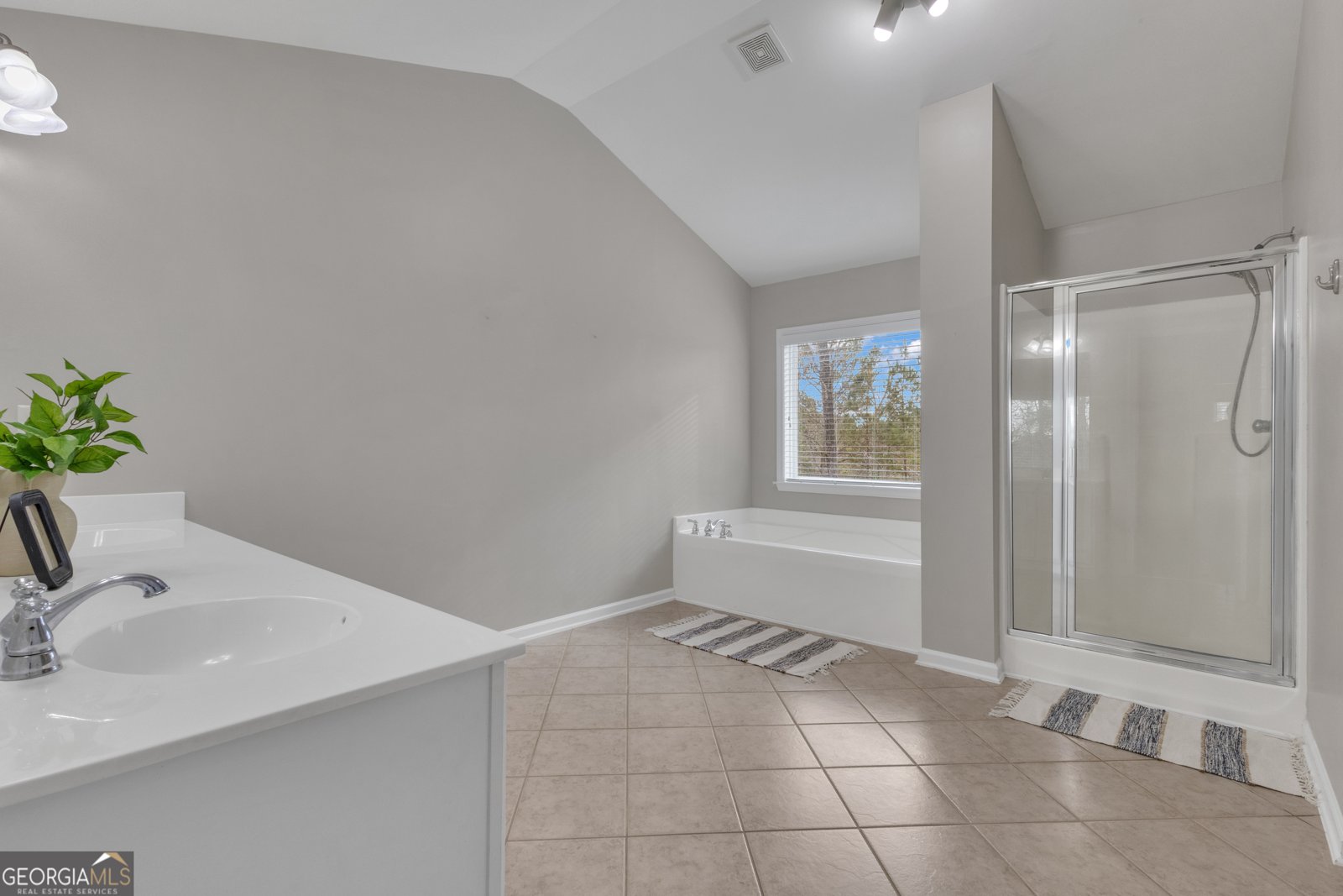 35 Paddle Boat Cove Senoia - Photo 37