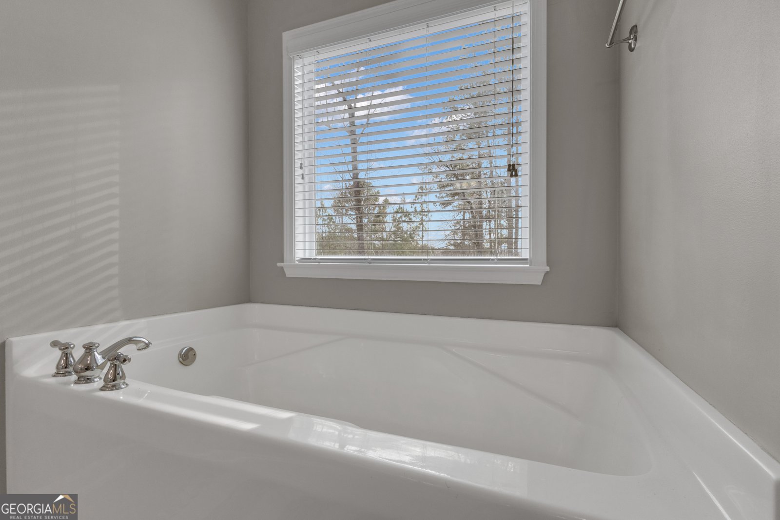 35 Paddle Boat Cove Senoia - Photo 41