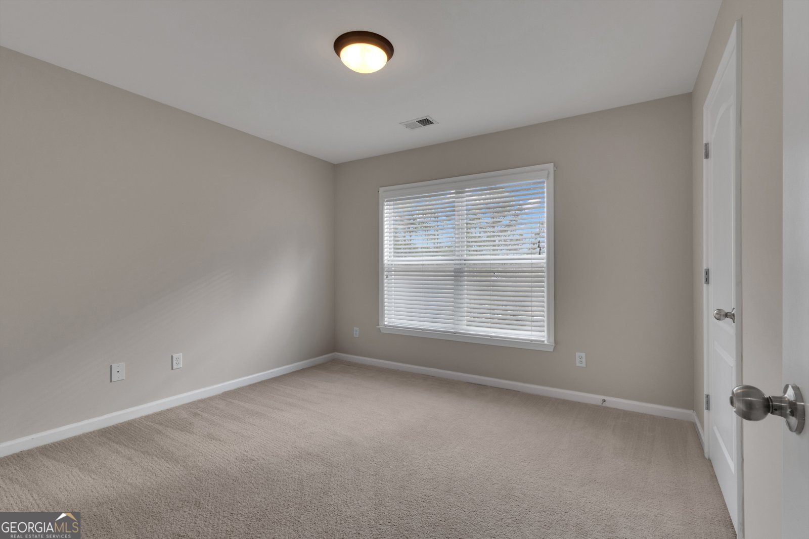 35 Paddle Boat Cove Senoia - Photo 51