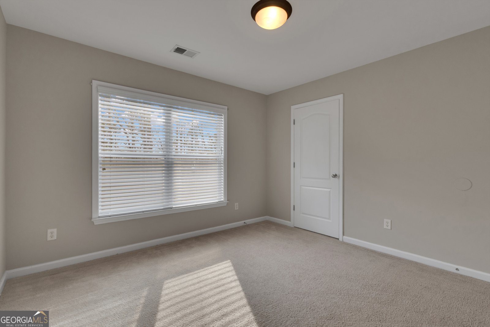 35 Paddle Boat Cove Senoia - Photo 53