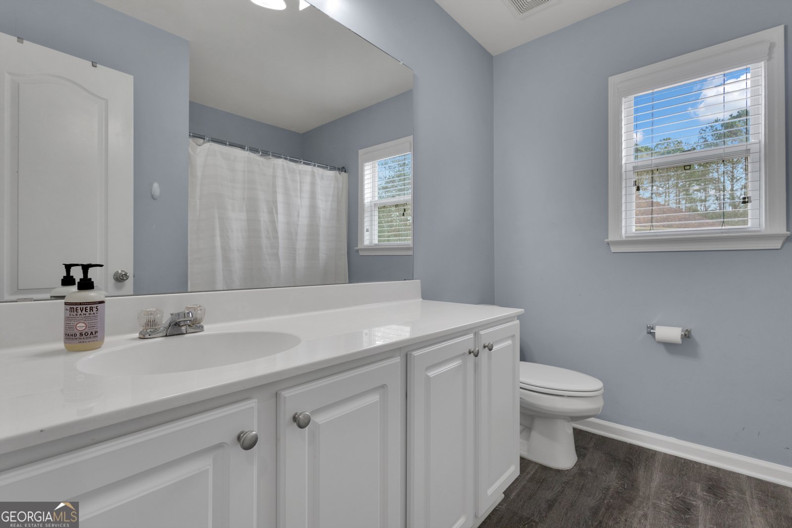 35 Paddle Boat Cove Senoia - Photo 54