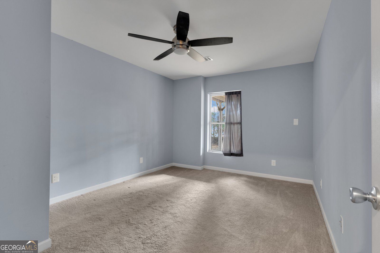 35 Paddle Boat Cove Senoia - Photo 63