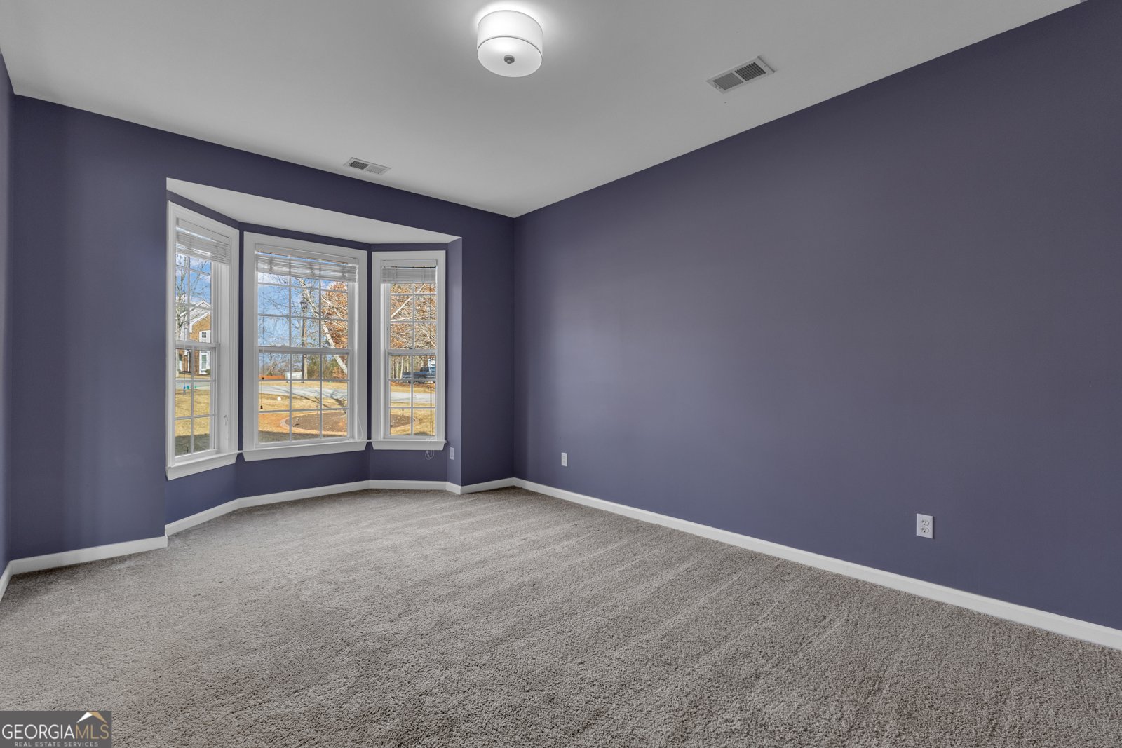 35 Paddle Boat Cove Senoia - Photo 7