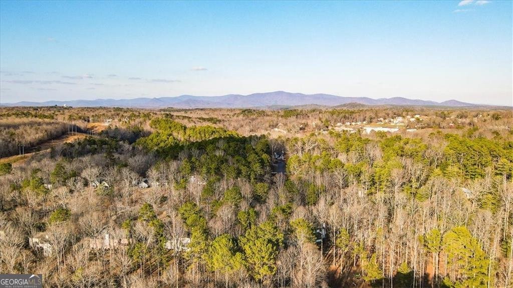 3040 Cypress Cove Ball Ground - Photo 35