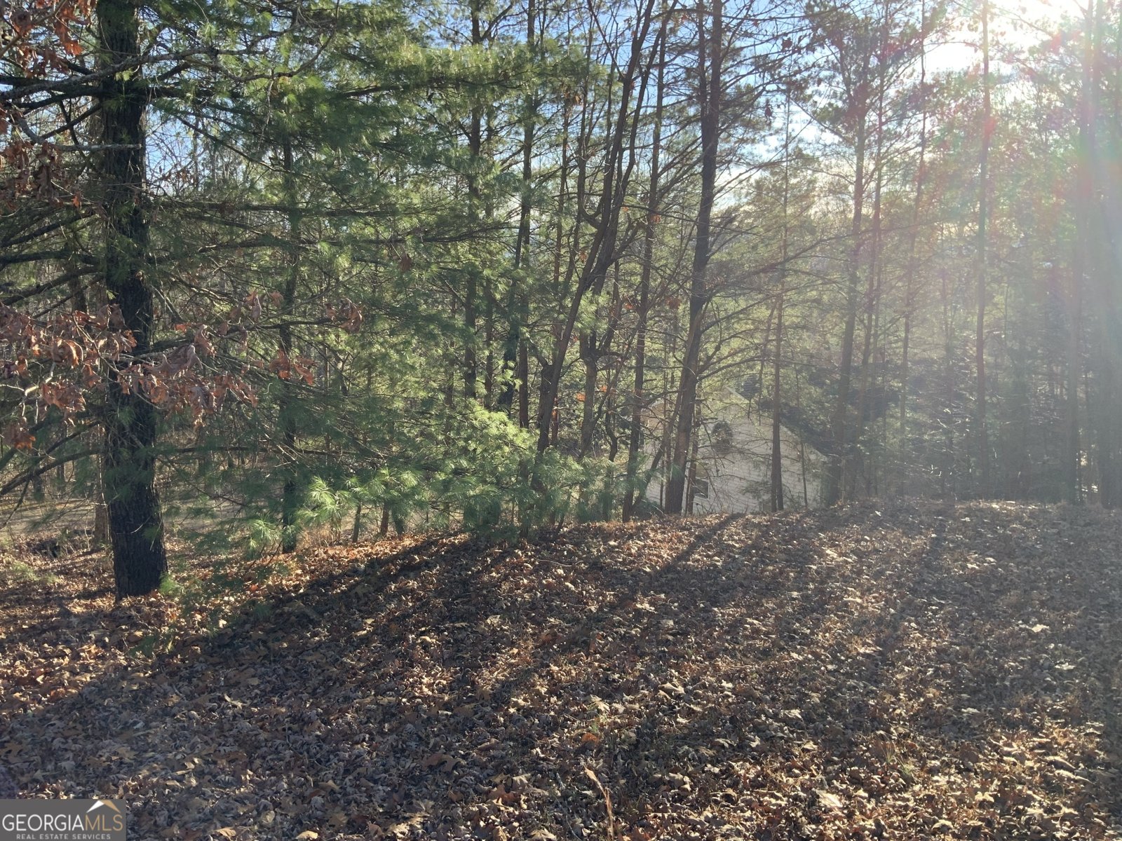 54 Four Seasons Landing Blairsville - Photo 43