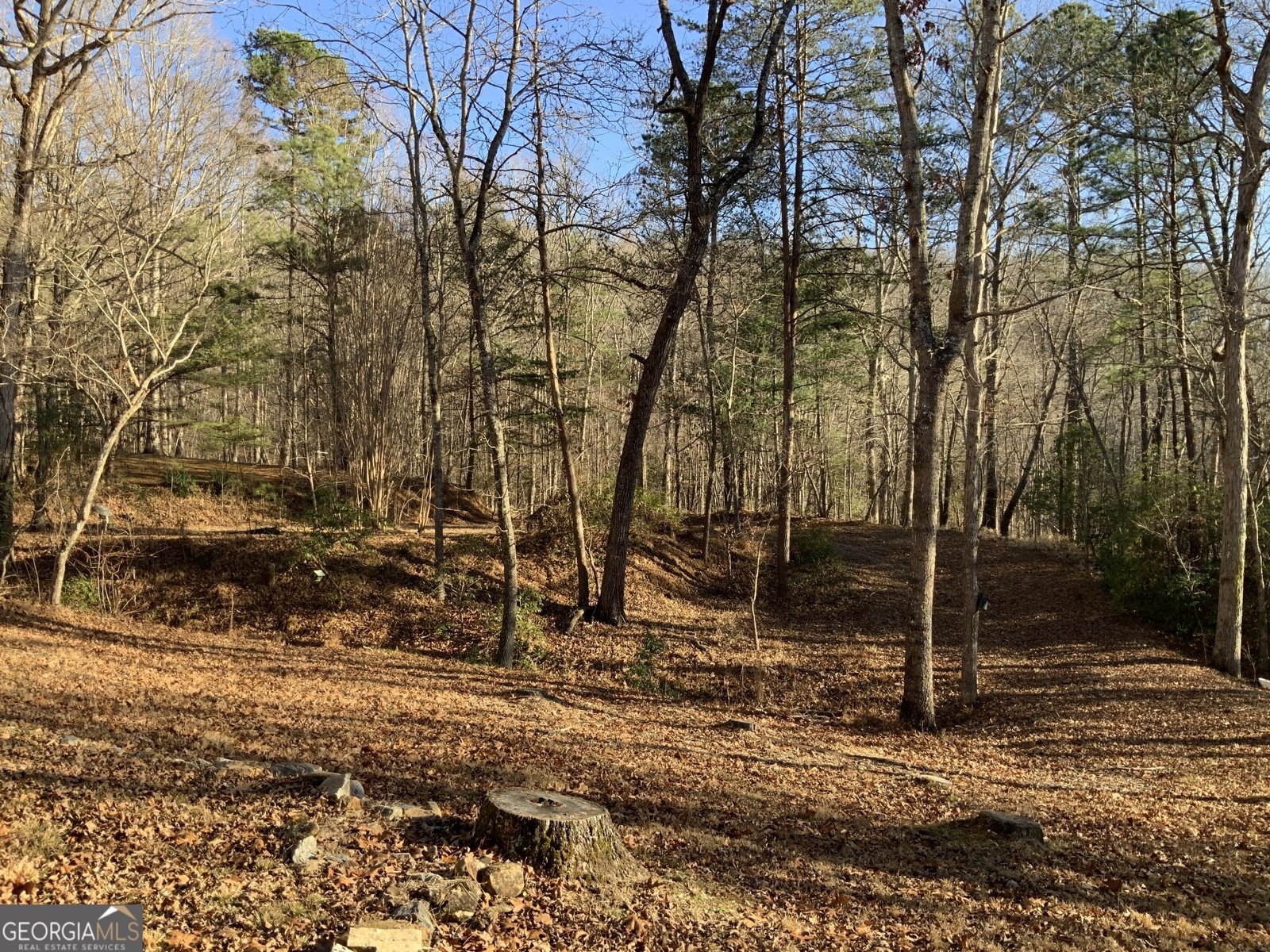 54 Four Seasons Landing Blairsville - Photo 44