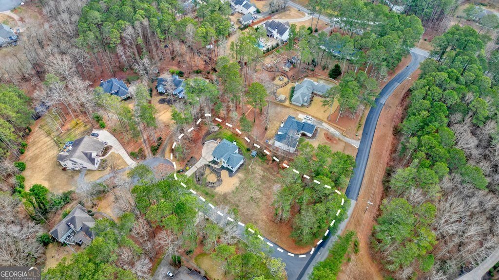 6070 Lively Court Cumming - Photo 104