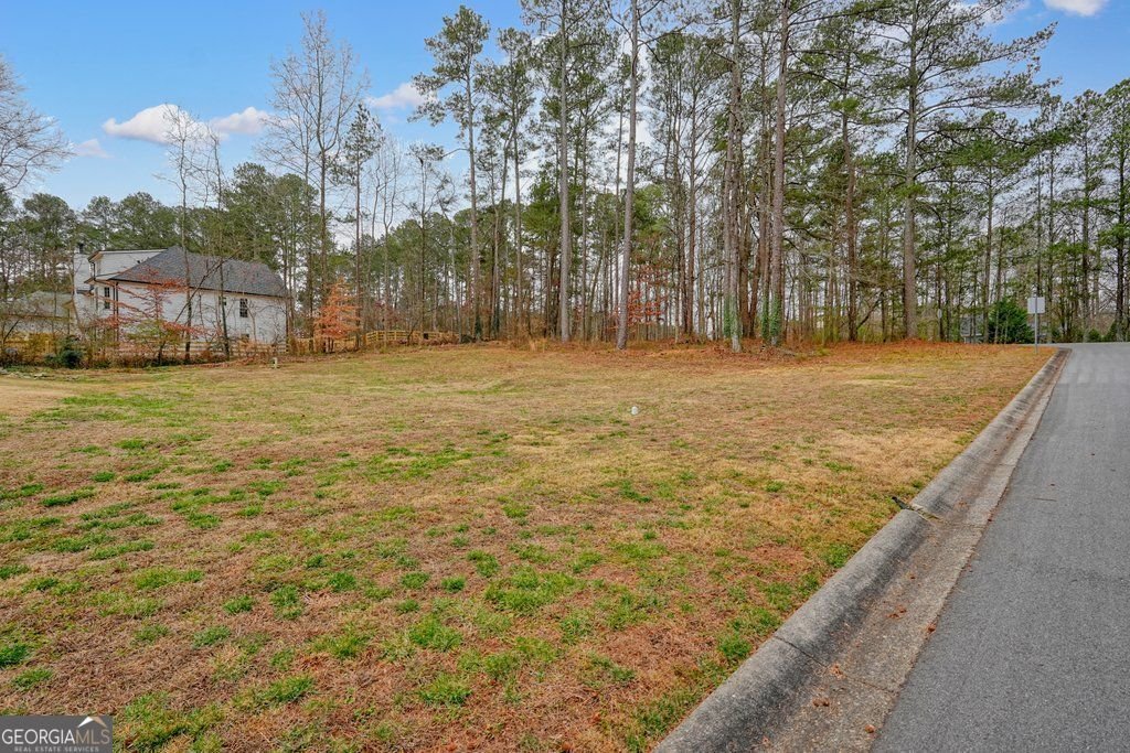 6070 Lively Court Cumming - Photo 93