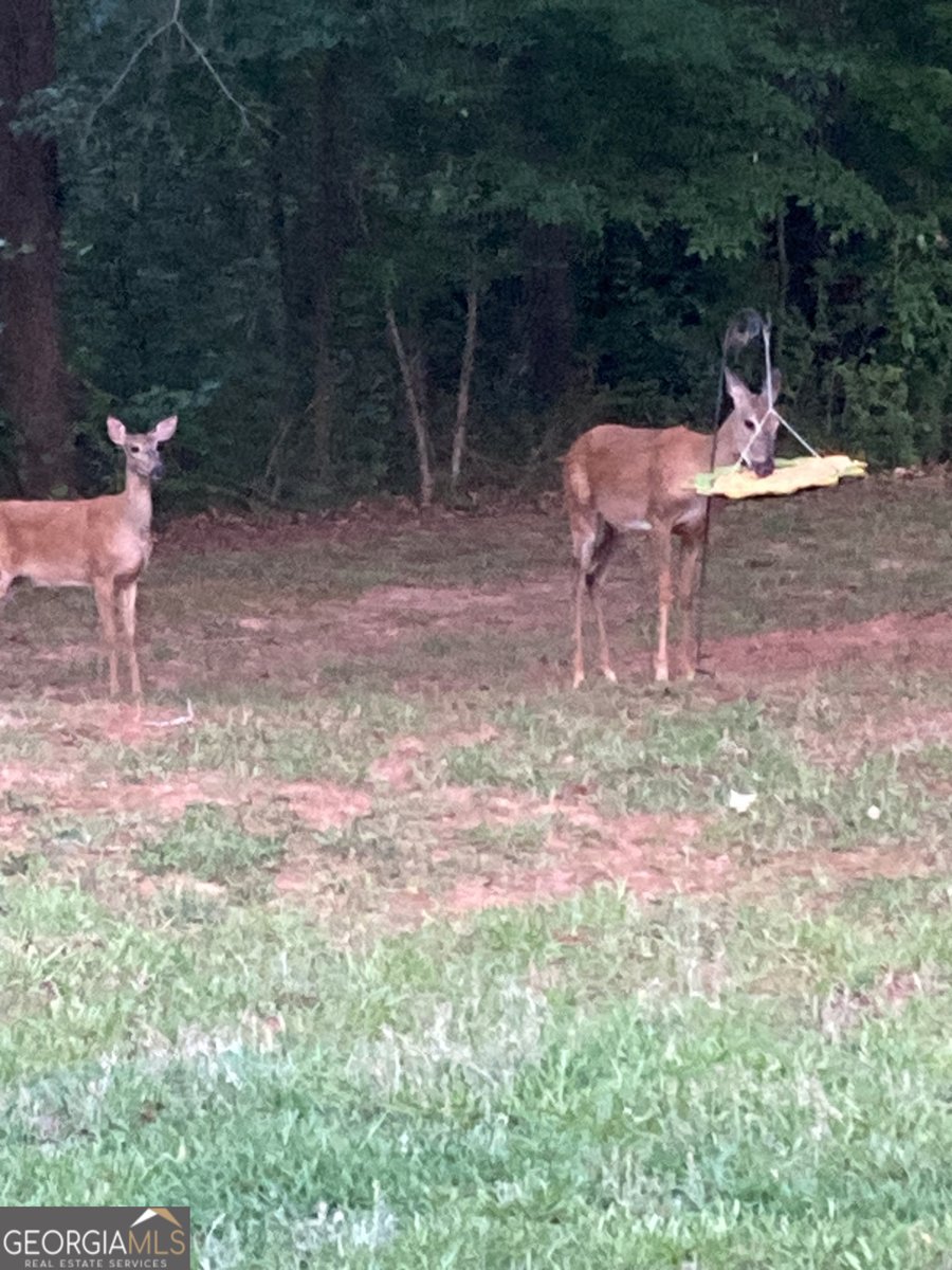 111 Fox Run Court McDonough - Photo 35