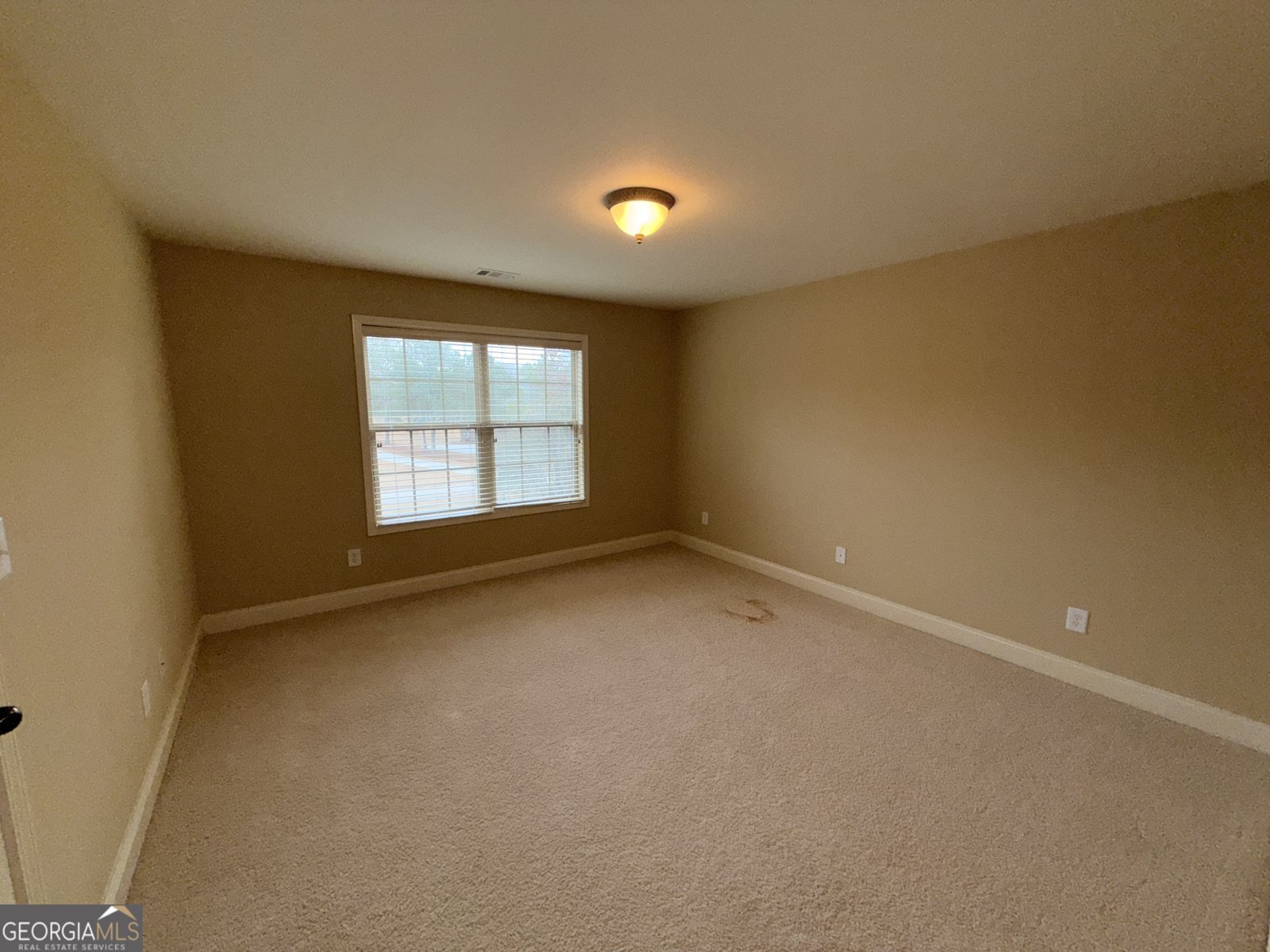 75 Cannonade Court Covington - Photo 12