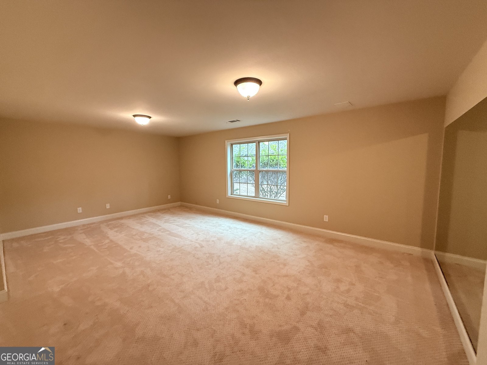 75 Cannonade Court Covington - Photo 23