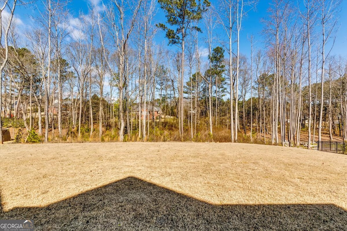 155 Dean Drive Tyrone - Photo 60