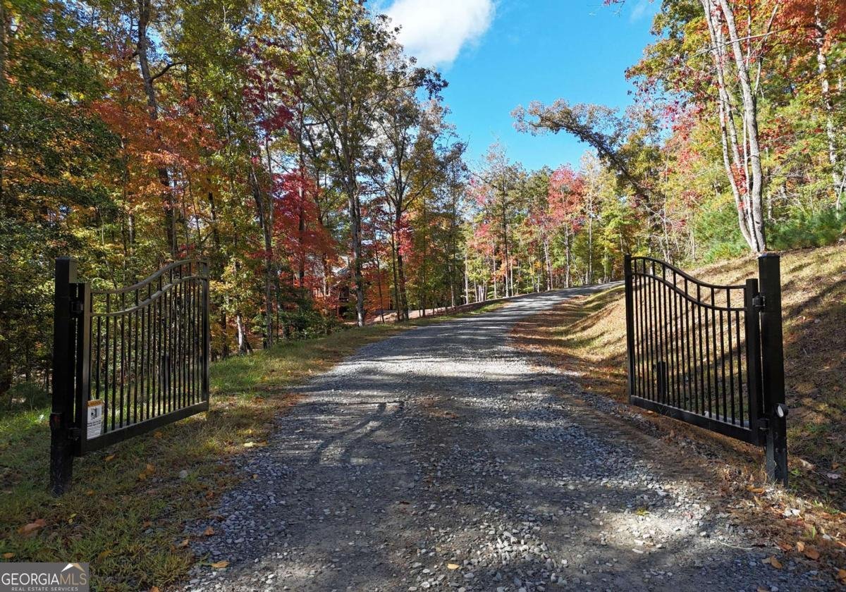 731 Native Trail Blue Ridge - Photo 100