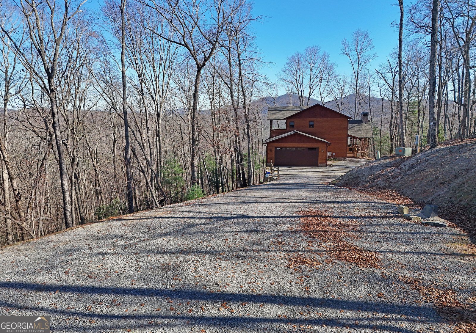 731 Native Trail Blue Ridge - Photo 11