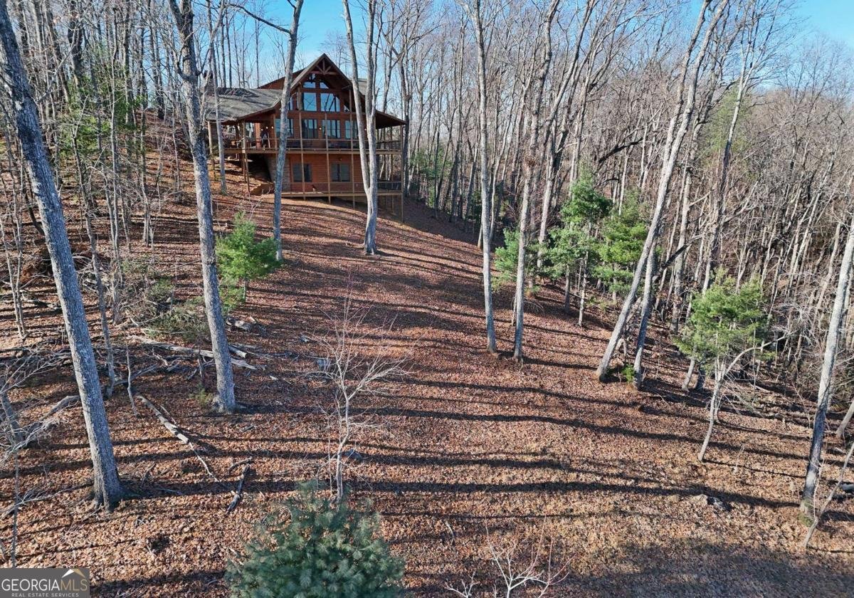 731 Native Trail Blue Ridge - Photo 24