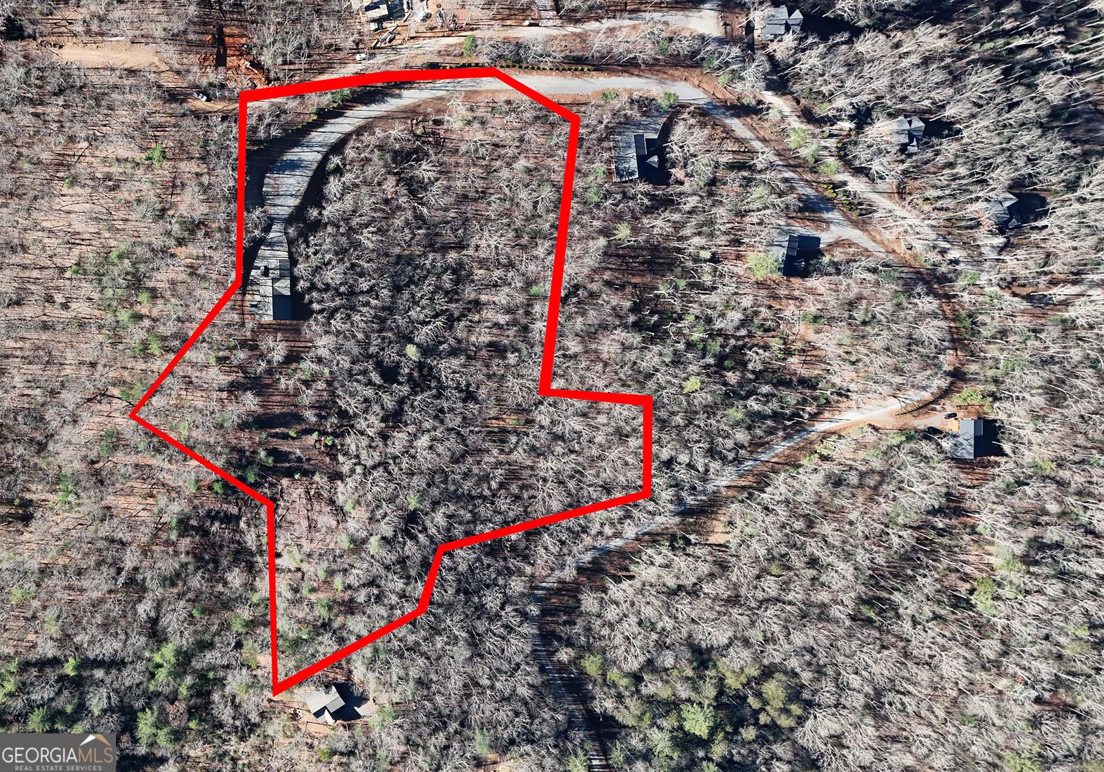 731 Native Trail Blue Ridge - Photo 9